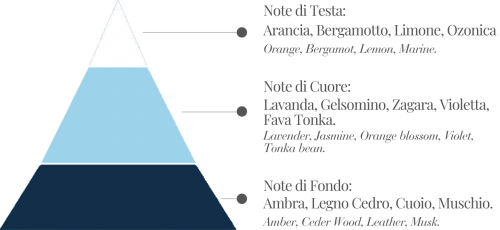 PIRAMIDE OLFATTIVA Salsedine